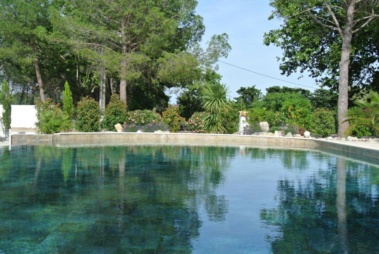Grand Tamaris Hosting Bed & Breakfast Arles Eksteriør bilde